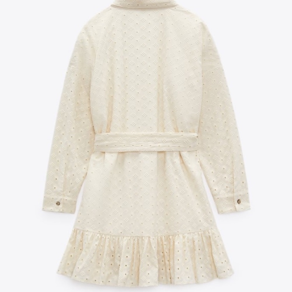 Zara Woman Cutwork Dress - Picture 5 of 7